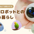 <p>シェア 0 ツイート 0 はてブ 0</p>