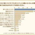 ペットの選択肢に“ペットロボット”はあり? 会話AIロボット「Romi」を開発するミクシィが調査