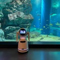 AIコミュニケーションロボットがエイの生態を解説  「マクセル アクアパーク品川」平日限定の有料プログラムを開始