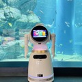 AIコミュニケーションロボットがエイの生態を解説  「マクセル アクアパーク品川」平日限定の有料プログラムを開始