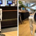 SGST「WeWork」で案内ロボットの実証実験を開始　ゲストのチェックインやフロア案内等を実施　ウイズコロナ時代のオフィスDX化を推進