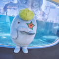 avatarinの「夏休み特別企画アバター体験!」今年も開催  新たな体験プラン「森永卓郎 ミニカーコレクション展」が追加