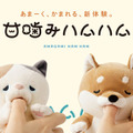 やみつき体感ロボット「甘噛みハムハム」7月27日に発売!ユカイ工学史上最高の初回出荷2万匹が完売見込み