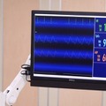 テムザックの小児患者型ロボット『Pedia_Roid』できることのまとめ　スペイン「ADEE Palma Annual Meeting」に展示