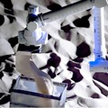 GITAI 宇宙ロボットの作業性能を大幅に拡張する”シャクトリ虫” 型ロボットアームを開発 タスク性能と移動性能を同時に実現可能