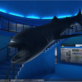 京急油壺マリンパークがVR空間に再オープン 来場した人達の想い出、施設のこれまでの歴史をデジタル化