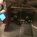 Palsbots in pepperデモアプリ体験会