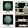 <p>シェア 0 ツイート 0 はてブ 0</p>