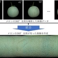 温室メロンの網目の品質を認識する「等級判定AI」静岡大学らが研究開発に成功 生産者の負荷軽減、等級判定技術の継承に貢献