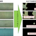 温室メロンの網目の品質を認識する「等級判定AI」静岡大学らが研究開発に成功 生産者の負荷軽減、等級判定技術の継承に貢献