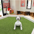 aiboのふるさと「幸田町」を巡るツーリズム開発 観光庁の実証調査に採択 11月中旬からの開始を予定