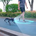 近未来ペットと一緒に過ごそう!散歩についてくるロボット犬「GeeDog Pro」ガジェットストアで販売開始 その特徴と価格は
