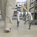 近未来ペットと一緒に過ごそう!散歩についてくるロボット犬「GeeDog Pro」ガジェットストアで販売開始 その特徴と価格は