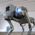 近未来ペットと一緒に過ごそう!散歩についてくるロボット犬「GeeDog Pro」ガジェットストアで販売開始 その特徴と価格は
