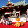 ソニー「アイボの七五三」を今年も神田明神で開催 約30体のaiboが揃って「二礼二拍手一礼」に挑戦!