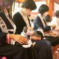 ソニー「アイボの七五三」を今年も神田明神で開催 約30体のaiboが揃って「二礼二拍手一礼」に挑戦!