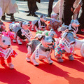 ソニー「アイボの七五三」を今年も神田明神で開催　約30体のaiboが揃って「二礼二拍手一礼」に挑戦！