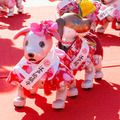 ソニー「アイボの七五三」を今年も神田明神で開催　約30体のaiboが揃って「二礼二拍手一礼」に挑戦！