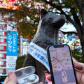 ソニーの音響体験「Locatone」グランプリ作品を渋谷で体験してきた　スマホとイヤホンで渋谷川の歴史をめぐる街歩き