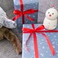 飾れるクリスマスカードに隠れたユカイな仲間を探そう! ユカイ工学オンラインストアでキャンペーンを実施