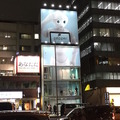 <p>シェア 0 ツイート 0 はてブ 0</p>