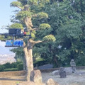 福岡県うきは市が「ドローン物流配送実験」を実施 JAにじ耳納の里や住民と連携して「屋部山荘」に地域の食材を配送