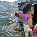 くら寿司のスマート養殖第3弾は「AIスマガツオ」 幻の高級魚を12月2日から全国展開 スマート養殖で持続可能な漁業へ