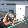 くら寿司のスマート養殖第3弾は「AIスマガツオ」 幻の高級魚を12月2日から全国展開 スマート養殖で持続可能な漁業へ