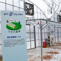 NTT東日本の新規事業と新技術を一挙公開「NTTe-City Labo」見学ツアー・レポート　ローカル5G/自動運転/ドローン/無人店舗/eスポーツetc