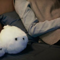 モフモフの睡眠サポート癒しロボット「ネモフ」新モデルの予約受付開始！コネモフも登場　スマホアプリ連動で機能アップ、価格は1/3に