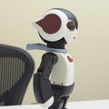 robi-02-04