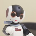 robi-02-06
