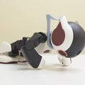 robi-02-07