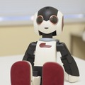 robi-02-09