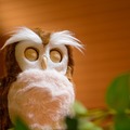 手のひらサイズのシニア向け開運アドバイザーの ペットロボット「ハッピーふくろう」発売 見た目も触り心地も本物そっくり デジレクト