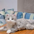 ねこ型ペットロボット「しっぽふりふり あまえんぼうねこちゃん」に新色アイスグレー登場、全3色に【特徴まとめ】デジレクト