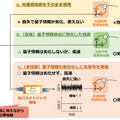 【速報】NTT/東京大/理研/JST　革新的な量子コンピュータ新技術で驚きの成果　世界最速43GHzを計測！量子と光通信を融合、量子マルチコアの実現へ「IBM Qを置き換えたい」