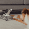 ジェスチャーと発話を理解するロボットペット「Loona」(ルーナ)がMakuakeに日本初登場 1,000を超える感情表現と豊かな表情