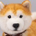 <p><a href=