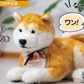渋谷の忠犬ハチ公生誕100年記念、なでると鳴く「なでなでワンちゃん 秋田犬HACHI EX 」Makuakeで限定100頭の先行販売中