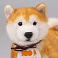 渋谷の忠犬ハチ公生誕100年記念、なでると鳴く「なでなでワンちゃん 秋田犬HACHI EX 」Makuakeで限定100頭の先行販売中