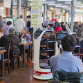 ネコ型配膳ロボット10台が同時フル稼働！ロボット向けに店内を改修した食事処「漁師料理 かなや」での稼働公開　DFA Robotics