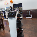 ネコ型配膳ロボット10台が同時フル稼働！ロボット向けに店内を改修した食事処「漁師料理 かなや」での稼働公開　DFA Robotics