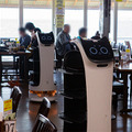 ネコ型配膳ロボット10台が同時フル稼働！ロボット向けに店内を改修した食事処「漁師料理 かなや」での稼働公開　DFA Robotics