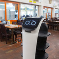 ネコ型配膳ロボット10台が同時フル稼働！ロボット向けに店内を改修した食事処「漁師料理 かなや」での稼働公開　DFA Robotics