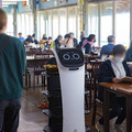 ネコ型配膳ロボット10台が同時フル稼働！ロボット向けに店内を改修した食事処「漁師料理 かなや」での稼働公開　DFA Robotics