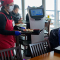 ネコ型配膳ロボット10台が同時フル稼働！ロボット向けに店内を改修した食事処「漁師料理 かなや」での稼働公開　DFA Robotics