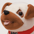 『宇宙兄弟』の愛犬パグ「アポ(APO)」が「甘噛みハムハム」になって発売!著者のアポ愛とこだわりを反映