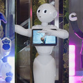 【速報】Pepper、RoBoHoN、aiboが「ロボット業界活性化のために、ロボットがアイドルグループ結成」!? アイボ/ロボホン/ペッパーの公式SNSで発表