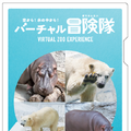 ホッキョクグマやカバに大接近「空から!水の中から!バーチャル冒険隊」開催 VR映像で動物の生態をリアル体験 大阪メトロ